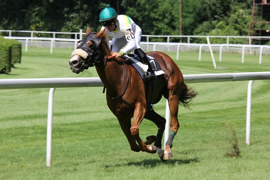 ブックメーカー 競馬 違法