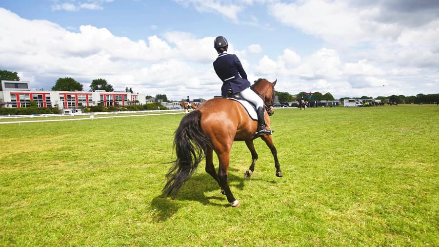 ブックメーカー 競馬 おすすめ